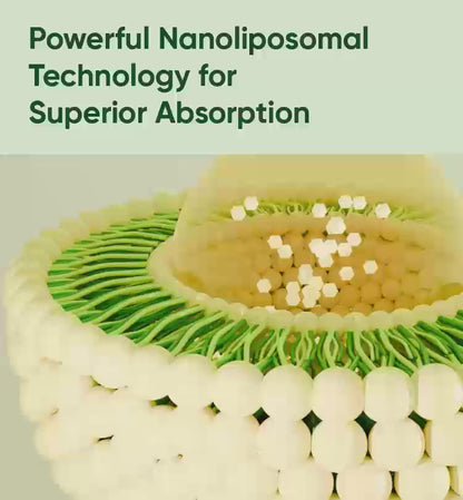 Nanoliposomal Silymarin Revitalized Liver Formula